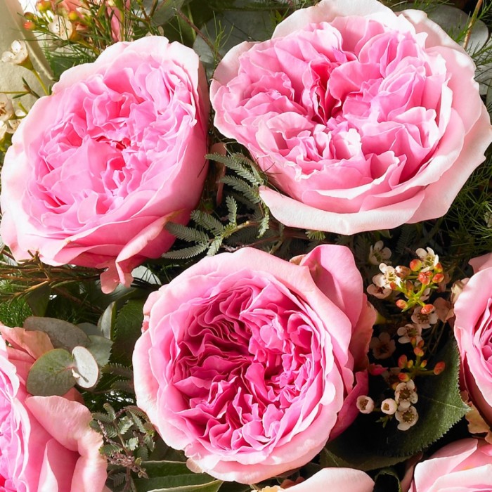 Роза Миранда